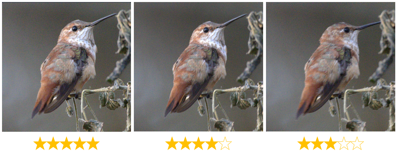 Quality sorted frames