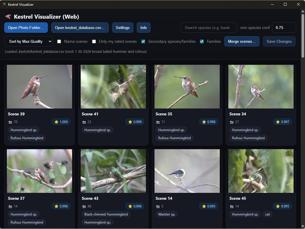 Project Kestrel analyzer progress