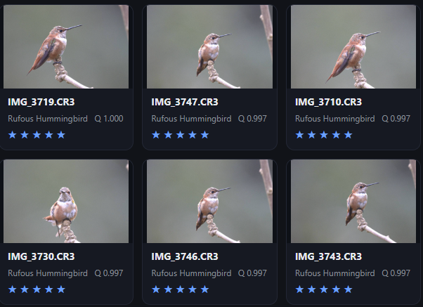 Scene grouping overview