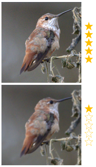 Quality ranking overview