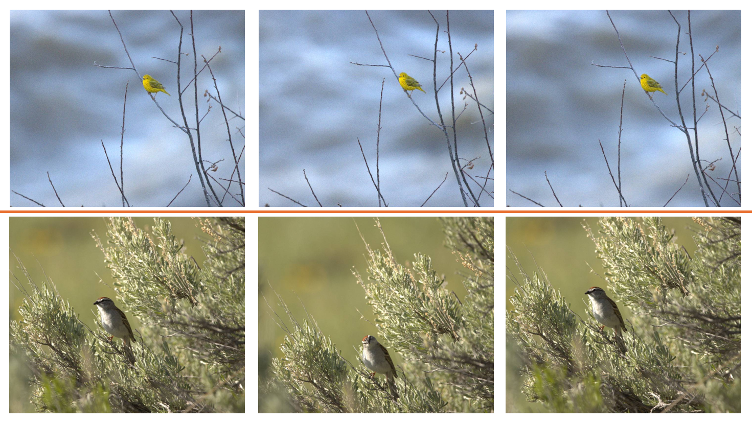 Timeline of photos grouping into scenes