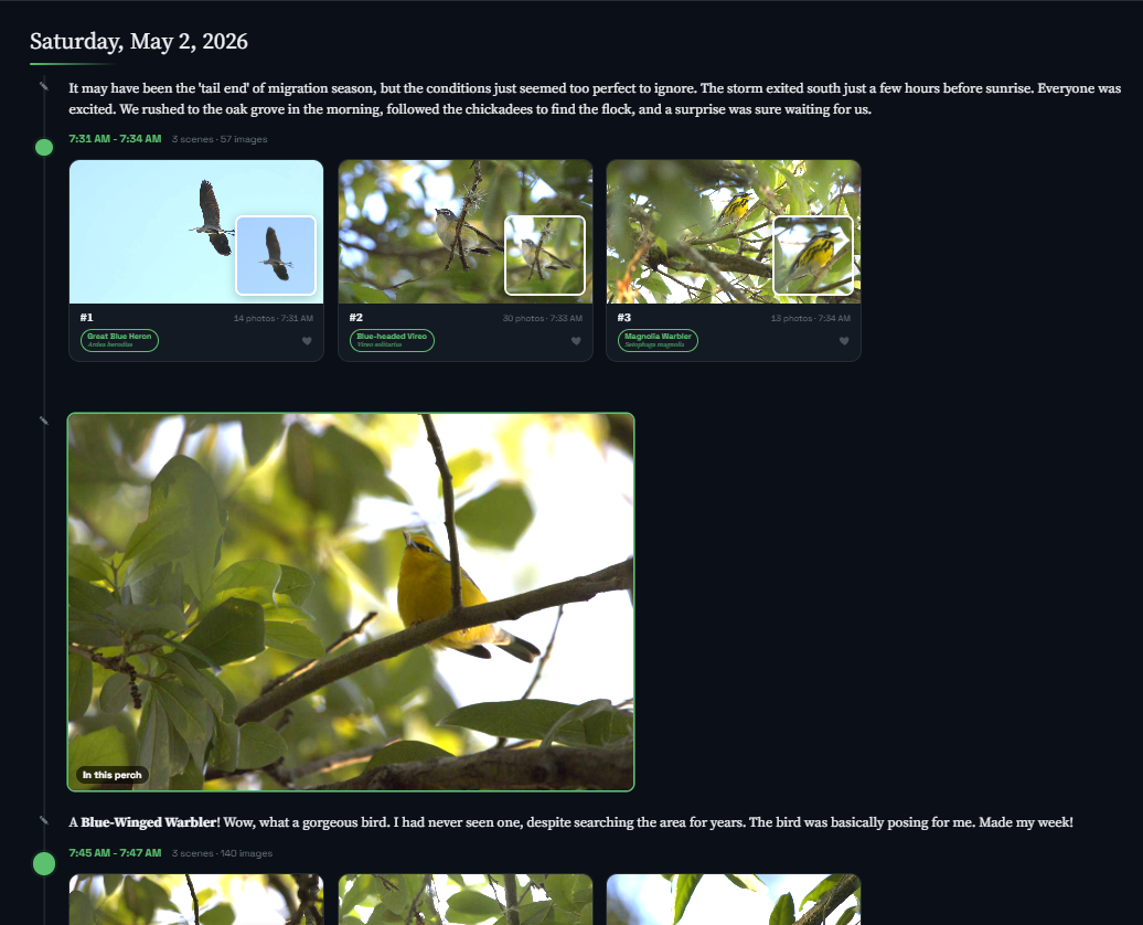 A Perch timeline with a row of scene cards above a large, emphasized photo of a Blue-winged Warbler marked "In this perch."